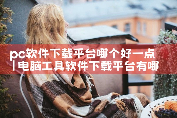 pc软件下载平台哪个好一点