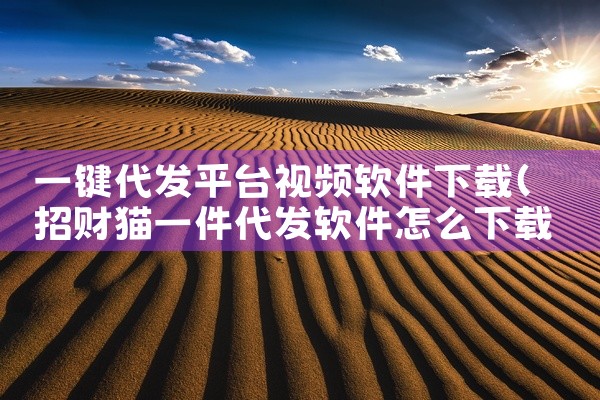 一键代发平台视频软件下载