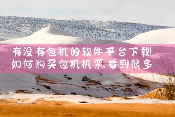 有没有包机的软件平台下载